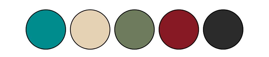 5 couleurs de vélo vefaa avec bord noir