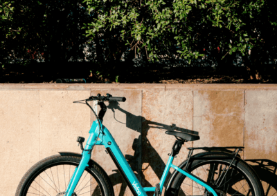 vefaa bleu bonjour 3