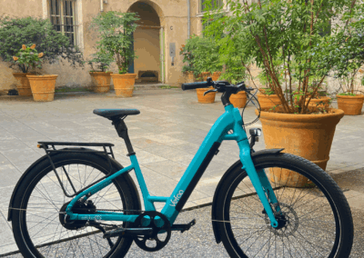 vefaa bleu bonjour 6